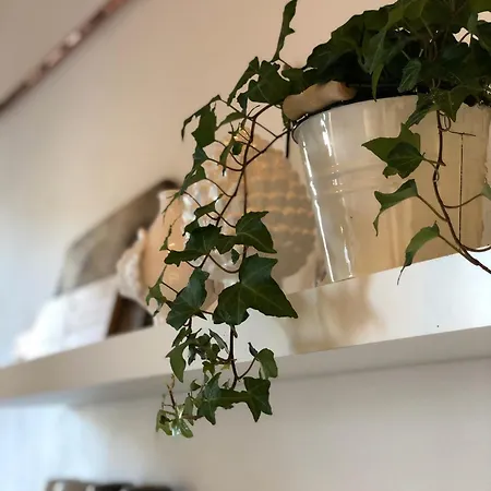 Zizzi Home - La Casa Nel Borgo Blevio